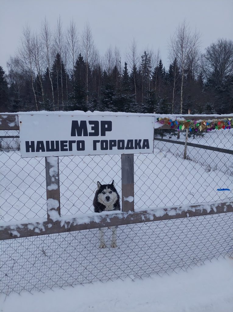 Новогоднее обращение Мэра нашего городка!